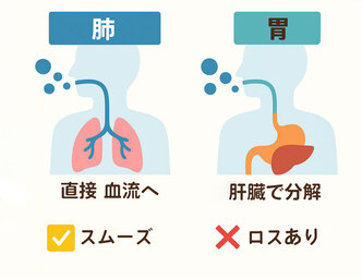 肺と胃の吸収経路比較